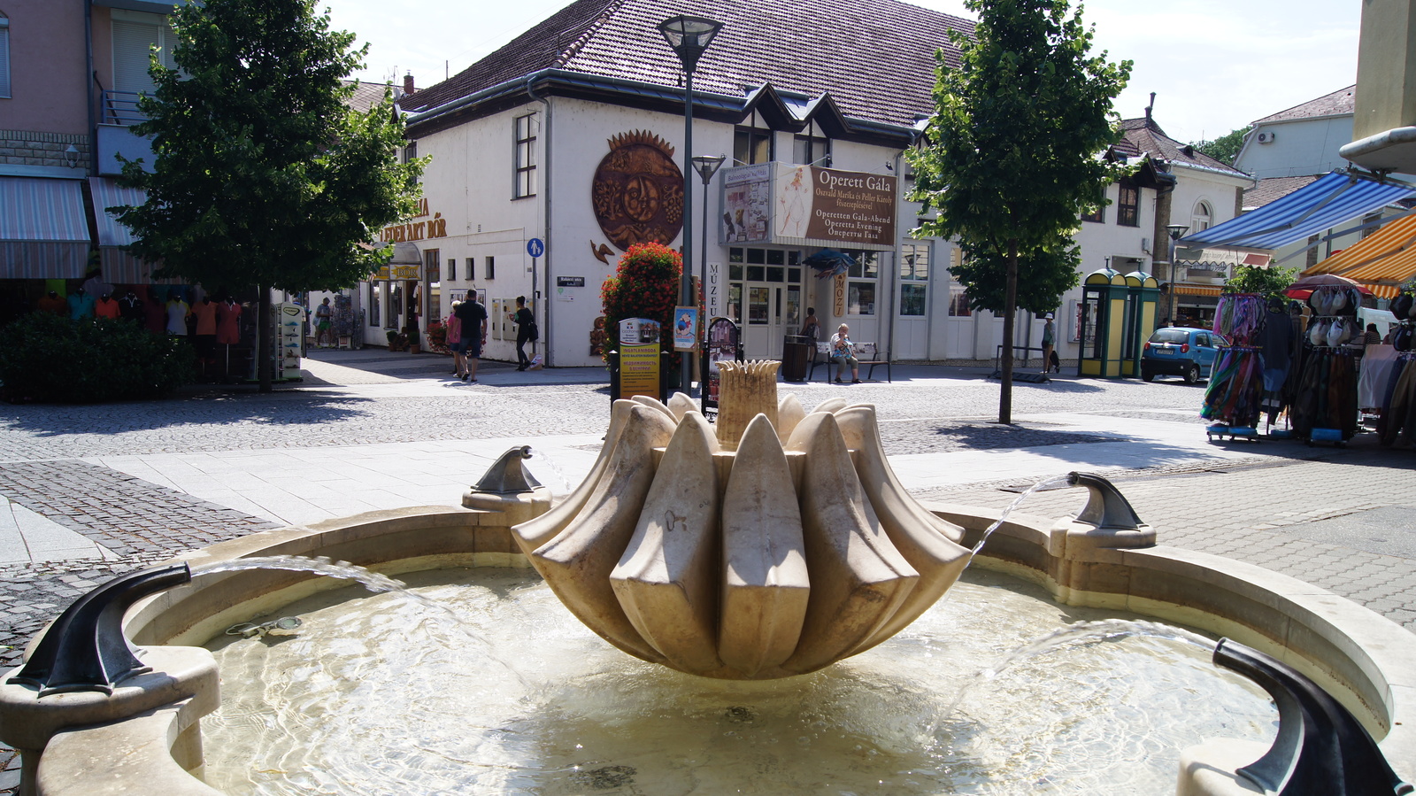 Heviz in July. Hungary - My, Hungary, Bathing, HГ©vГ­z, Longpost, Bathing