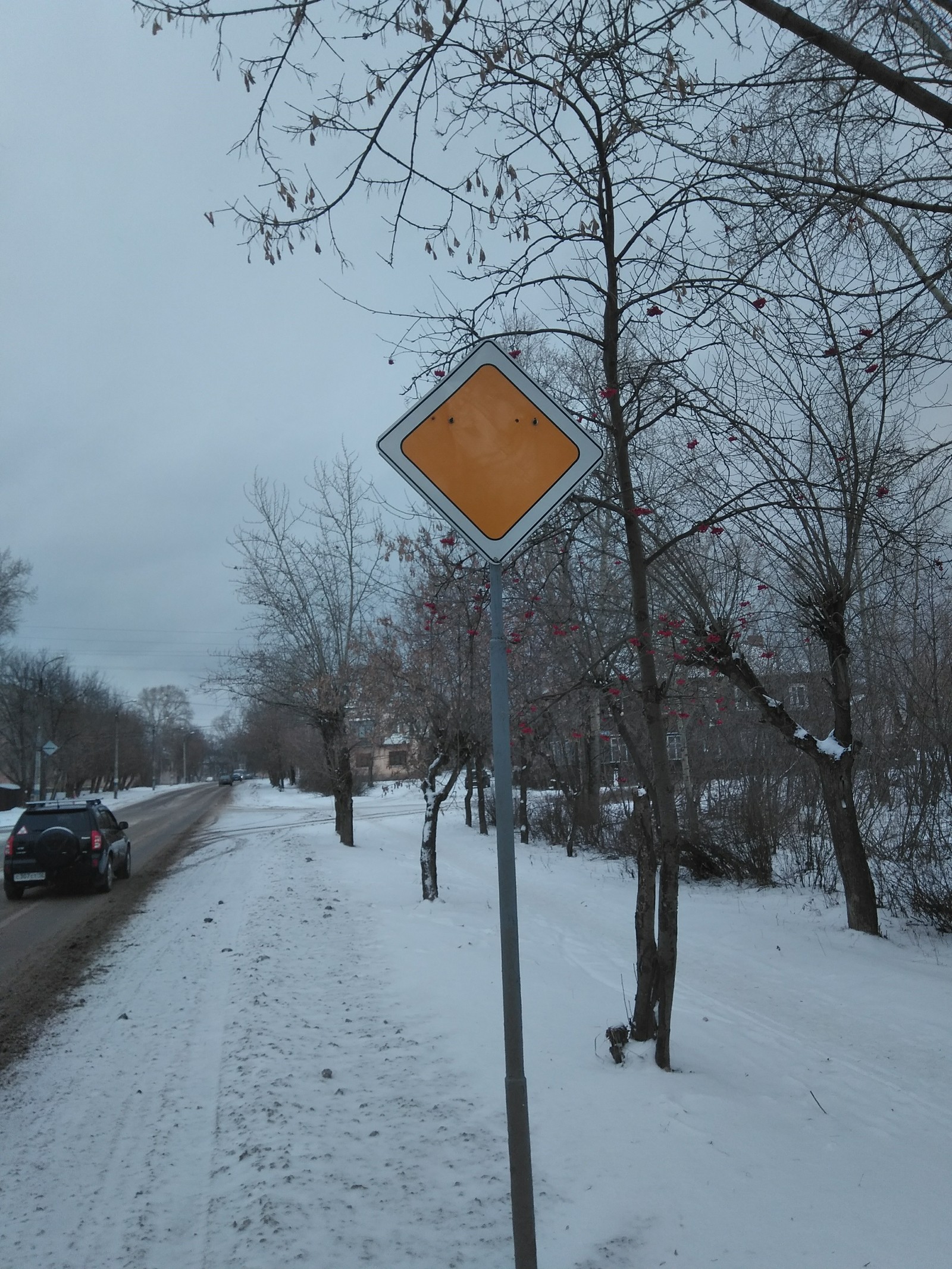 Very main road! - My, Road sign, Standards, Longpost