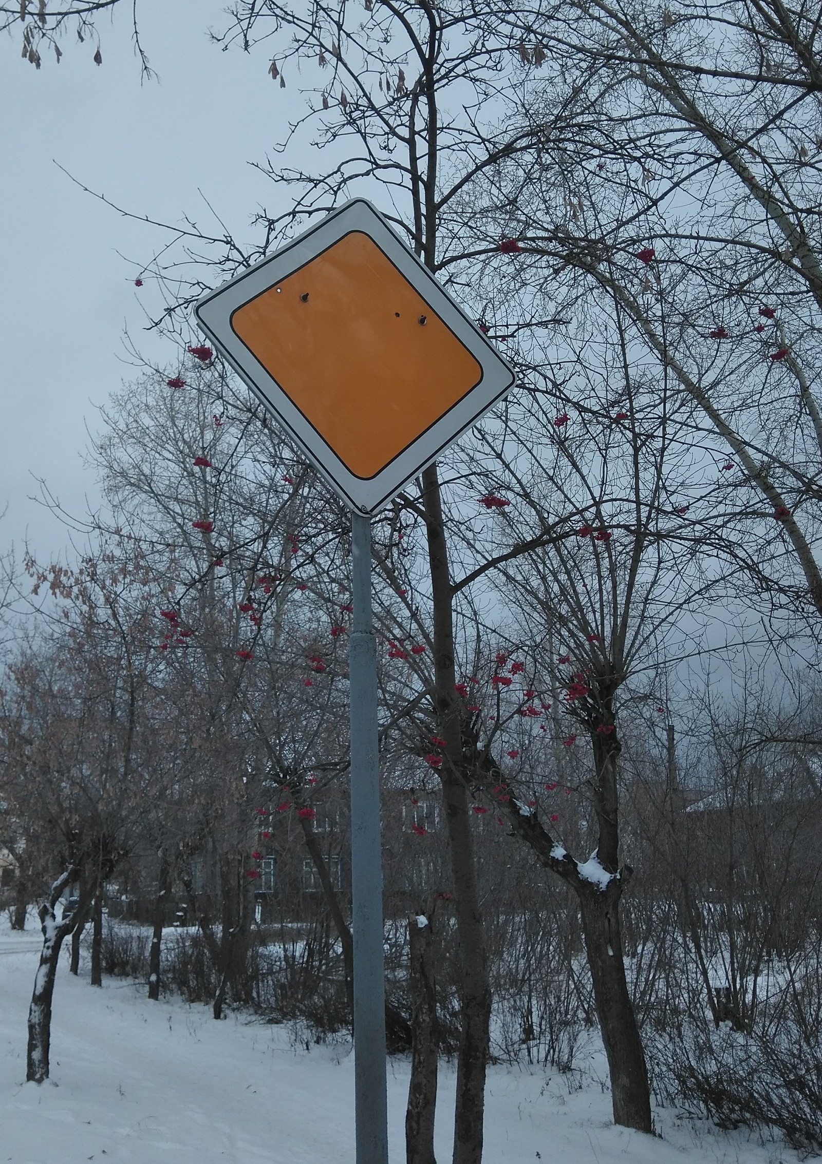 Very main road! - My, Road sign, Standards, Longpost