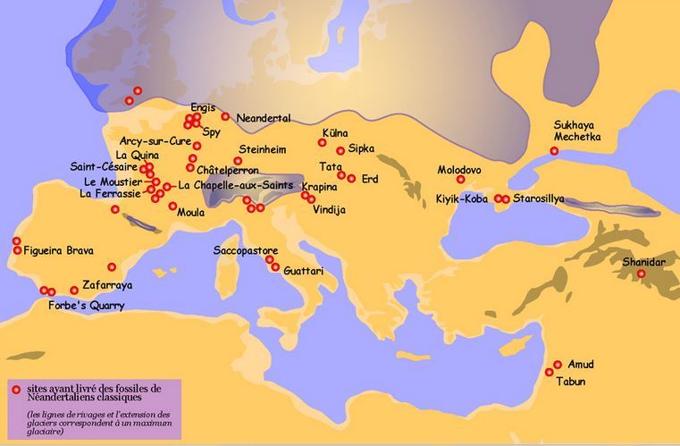 Neanderthals: how they lived and why they disappeared. - Neanderthal, Cro-Magnon, Anthropologists, Story, Longpost