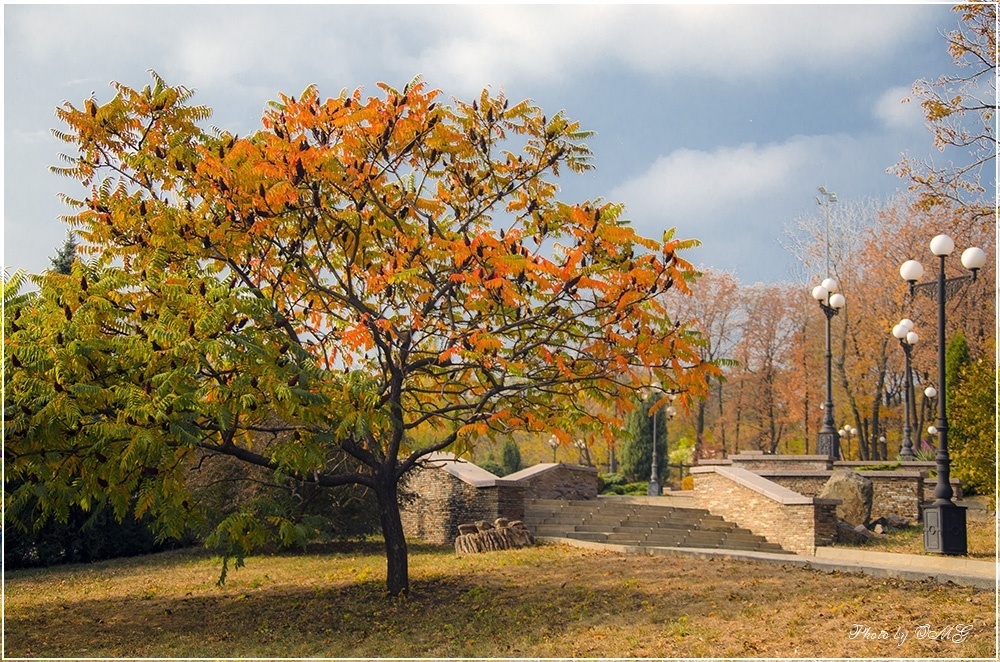 Осень В Краматорске Фото Красивые