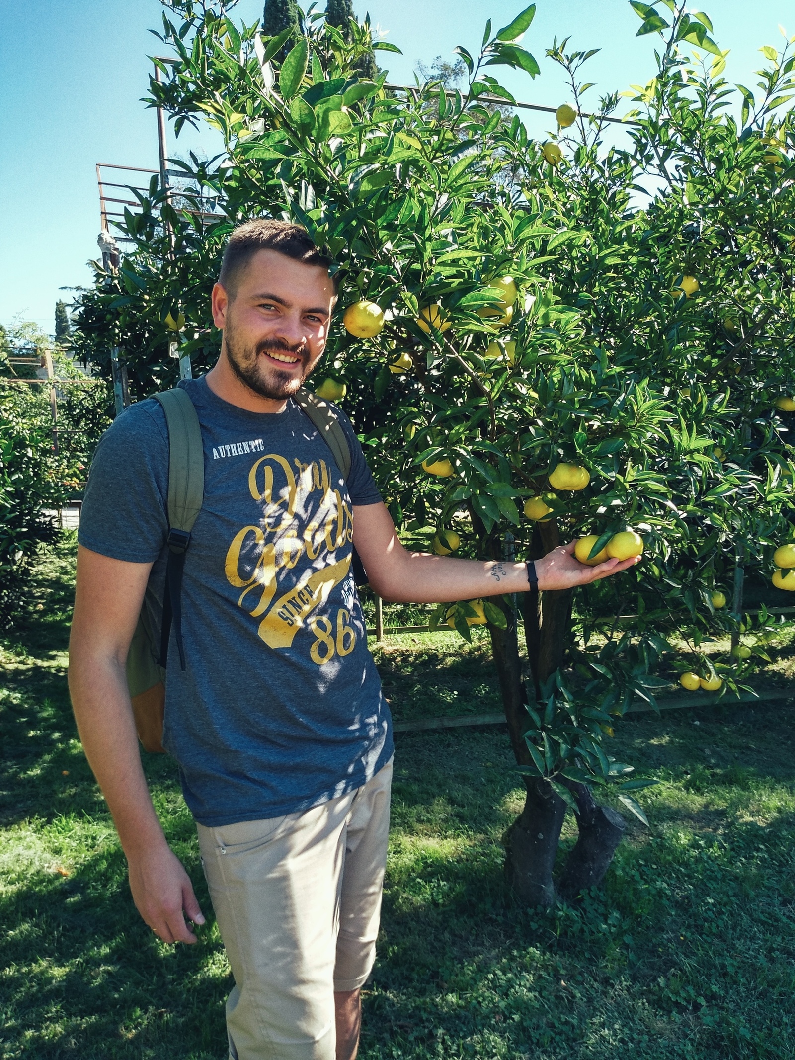 And Sochi is good! - My, Sochi, Abkhazia, Black Sea, October, Tangerines, Relaxation, Travels, Longpost