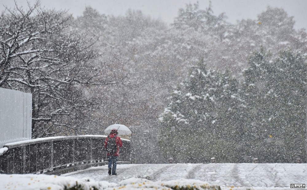 Winter in Japan[2] - Japan, Winter, Snow, The photo, Longpost