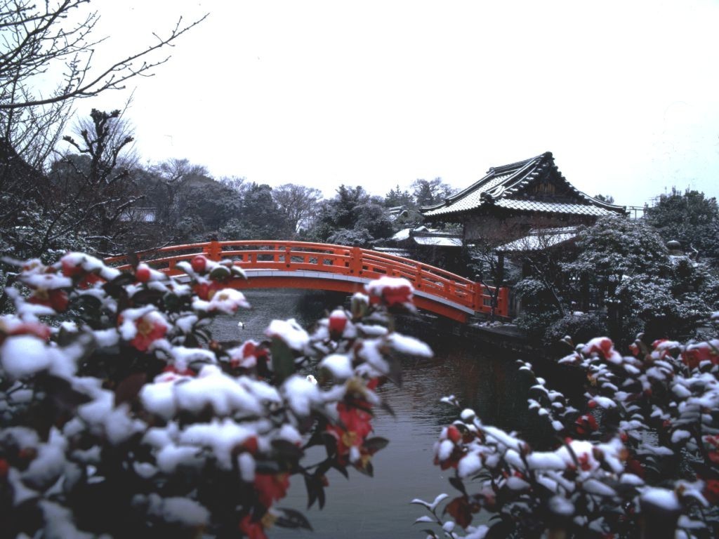 Winter in Japan[2] - Japan, Winter, Snow, The photo, Longpost