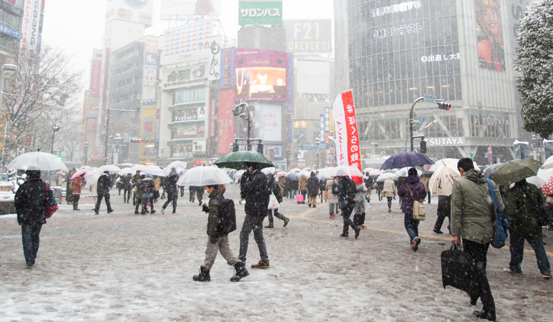 Winter in Japan[2] - Japan, Winter, Snow, The photo, Longpost