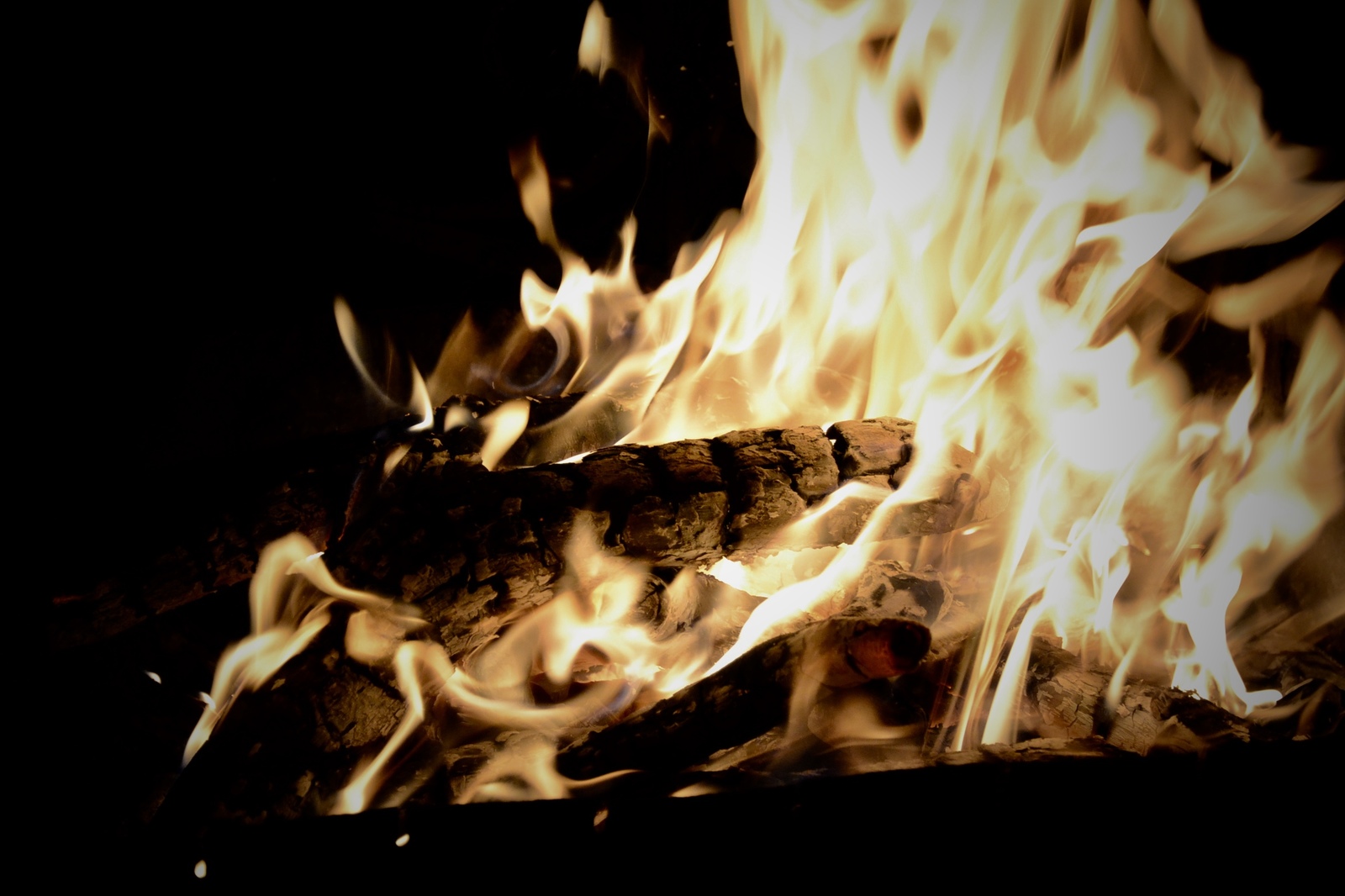 Warm up this winter. - My, The photo, Vision, Fire