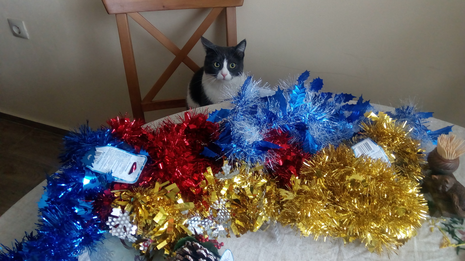 It is time for doubts and prohibitions. - My, cat, Catomafia, New Year