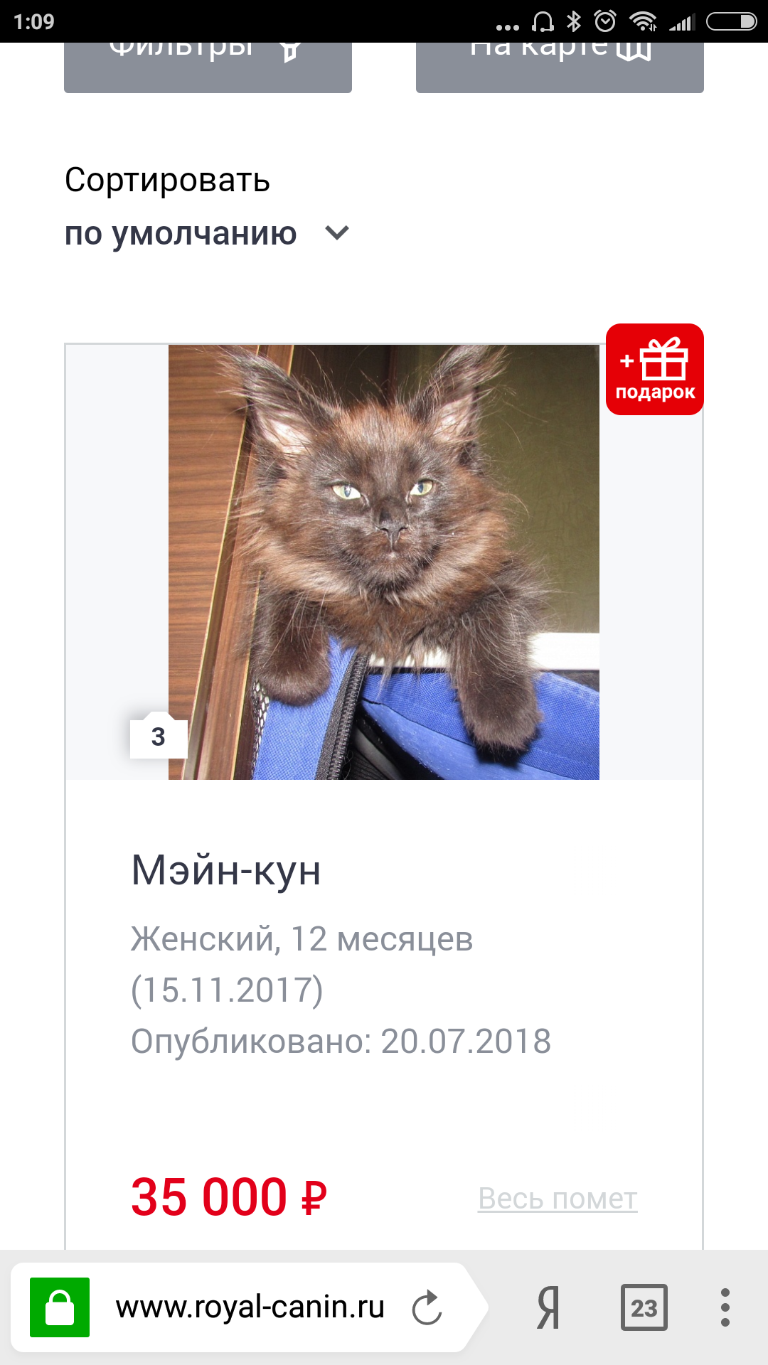 Коты - Кот, Мейн-кун, Первый пост, Помощь