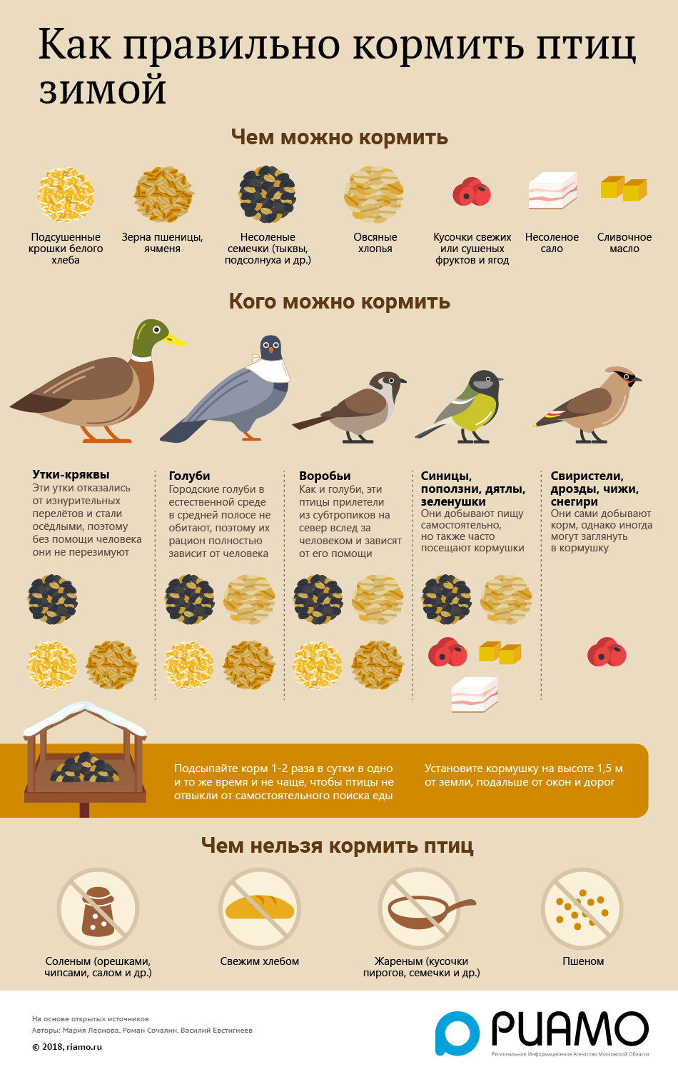 Как правильно кормить птиц зимой! | Пикабу