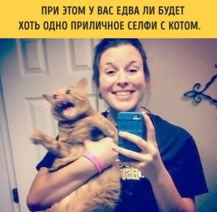 If you have a cat - cat, Picture with text, From the network, Longpost