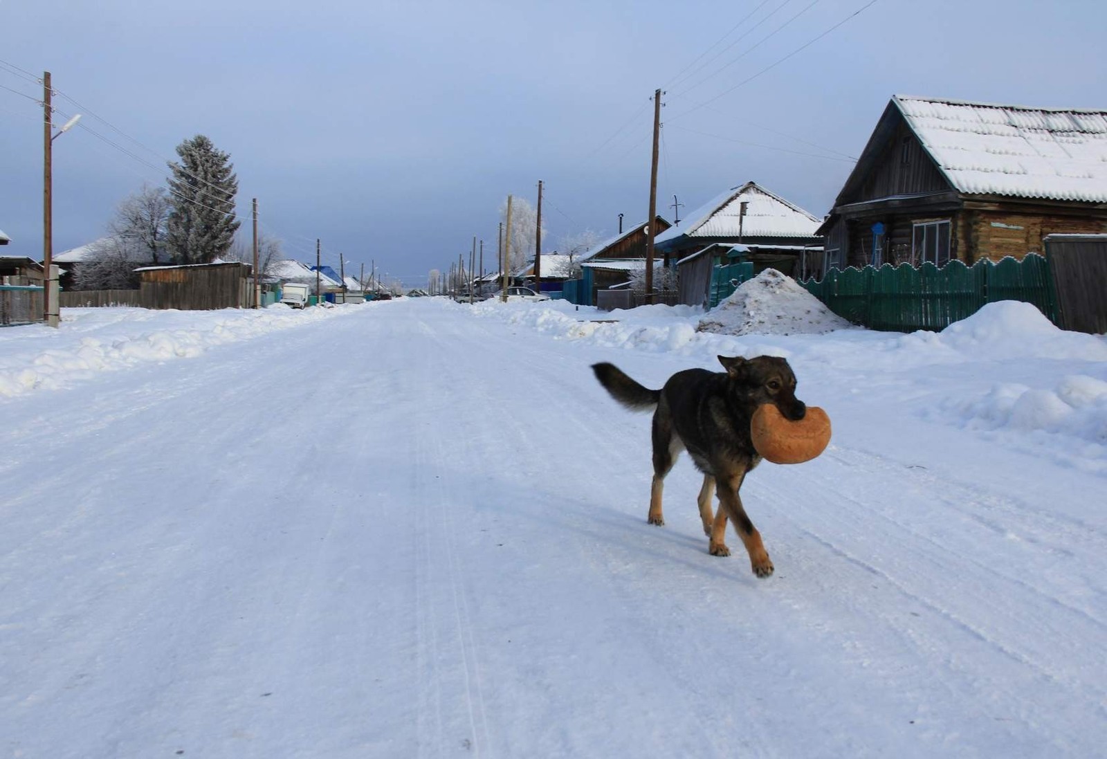 Погода в ишимском районе. Усть-Ишим Омская область. Село Усть Ишим Омская область. Деревня Скородум Усть Ишим Омская область. Усть Ишим Омская область население.