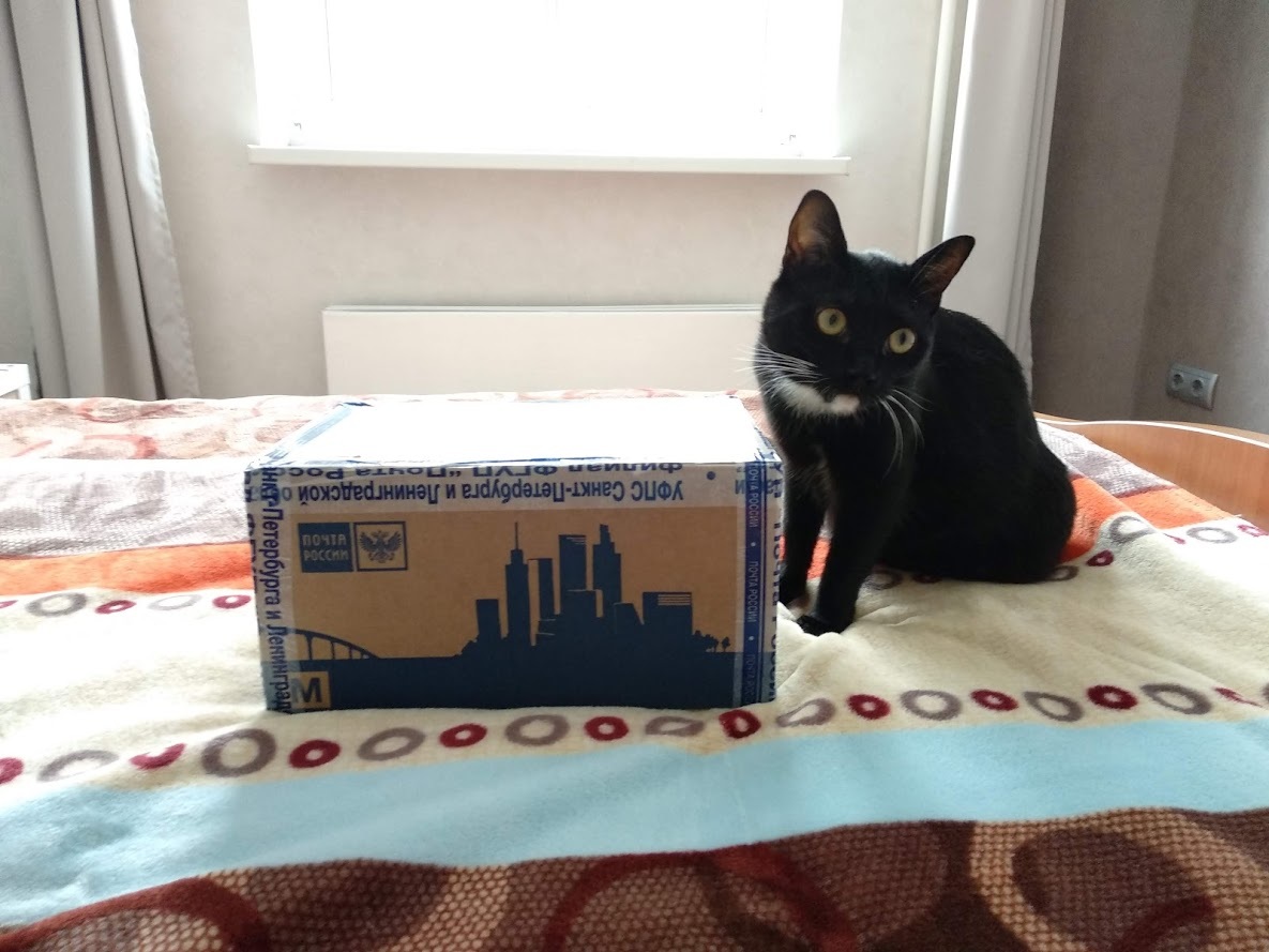 Hooray! - My, Gift exchange, New Year, cat, Gift exchange report, Longpost