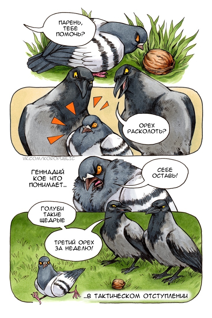 Tactical move - Comics, Pigeon Gennady, Koropublic, Birds