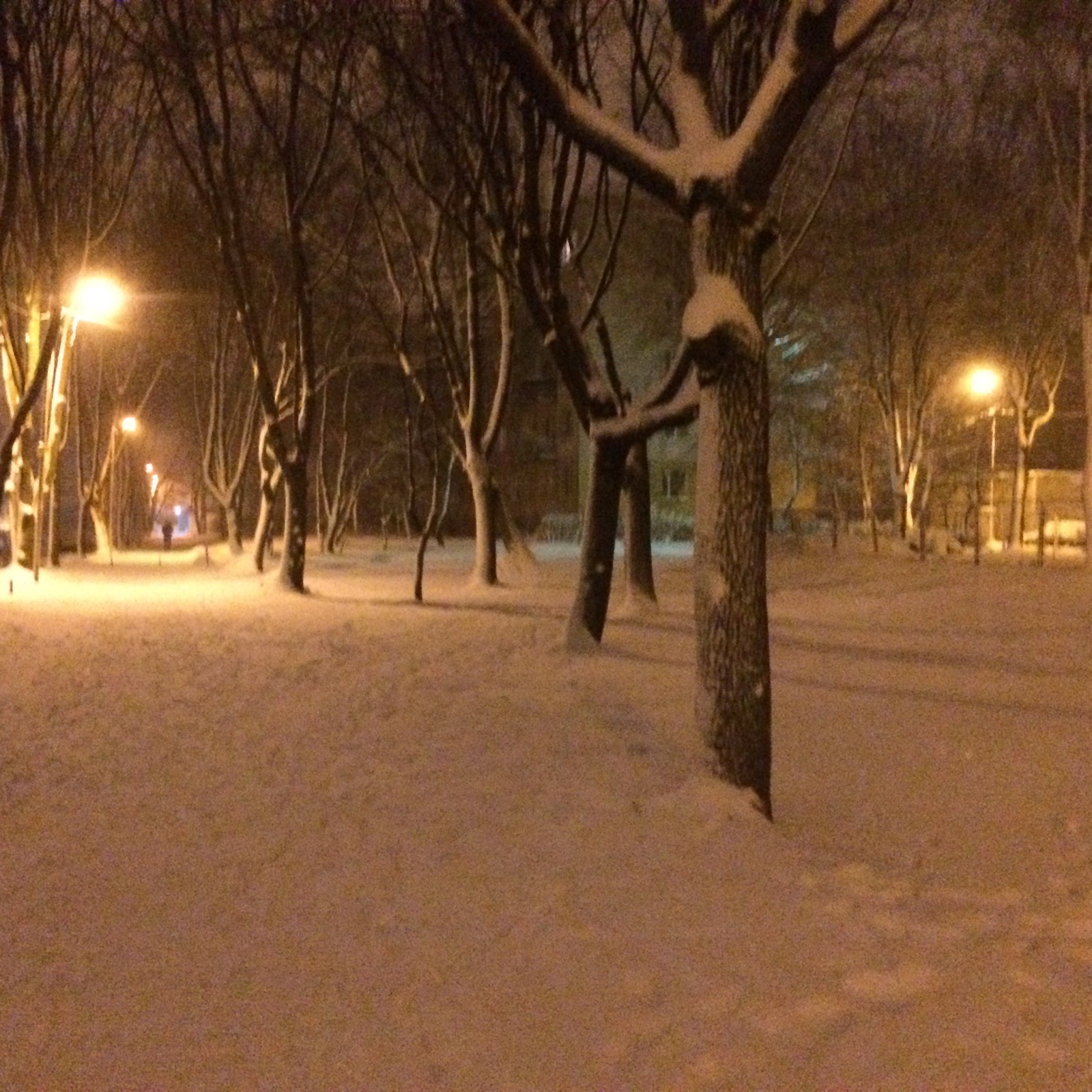 Night city - My, Odessa, Winter, Snow, Longpost