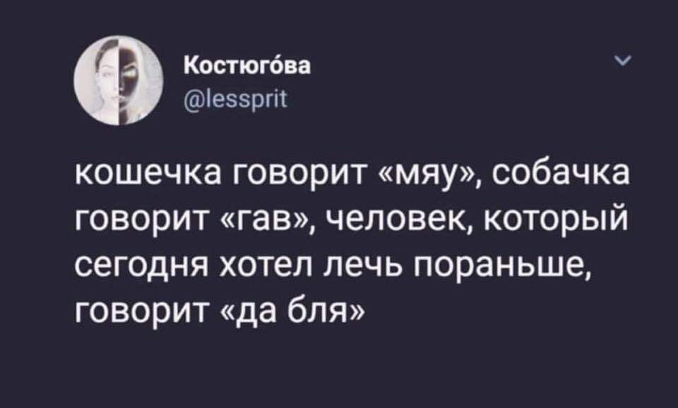 Спокойной ночи - Twitter, Скриншот, Юмор, Мат