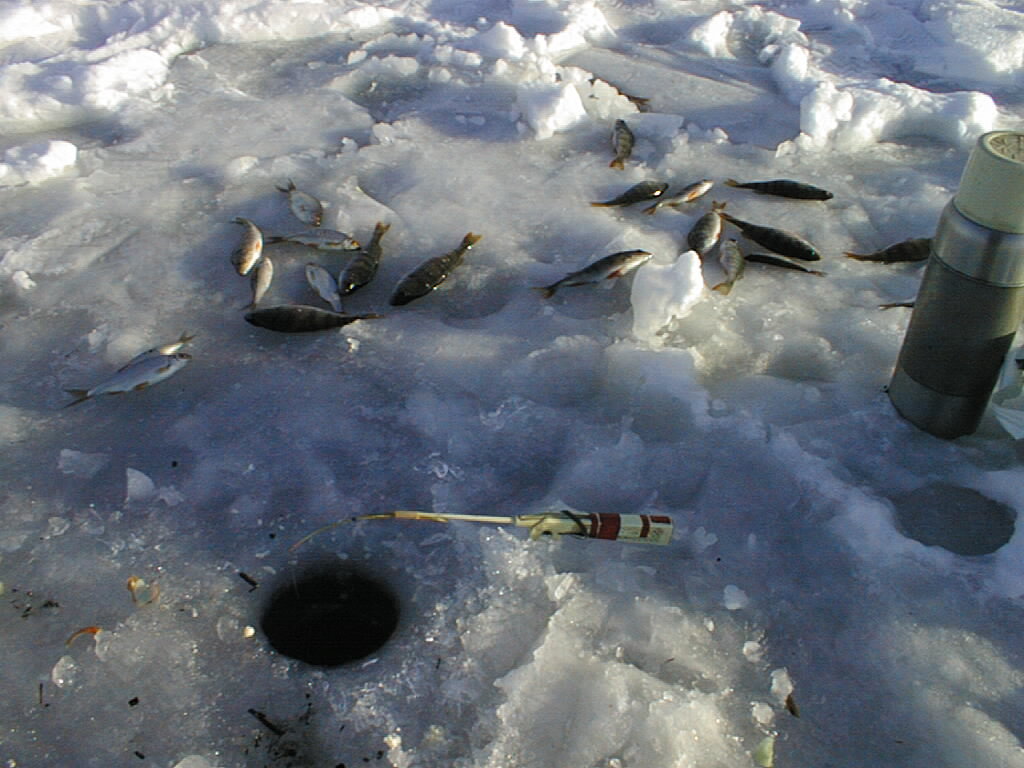 Winter fishing 20 years ago (filmed with an Epson Photo PC digital camera, 0.9 MP) - My, , 20 years, Winter, Ice, Fishing, Longpost