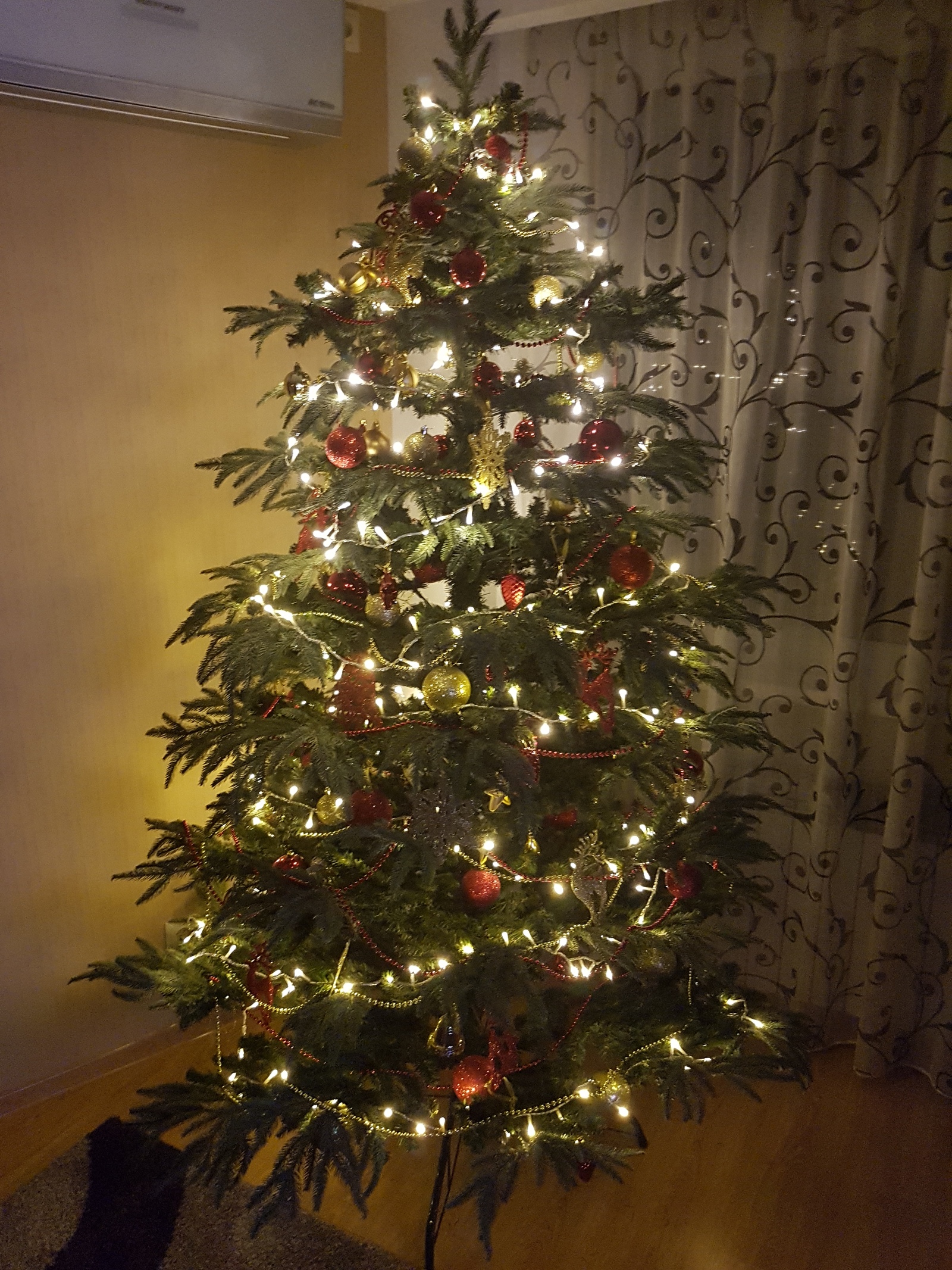 Preparations are underway! - My, New Year, Christmas trees, Christmas tree