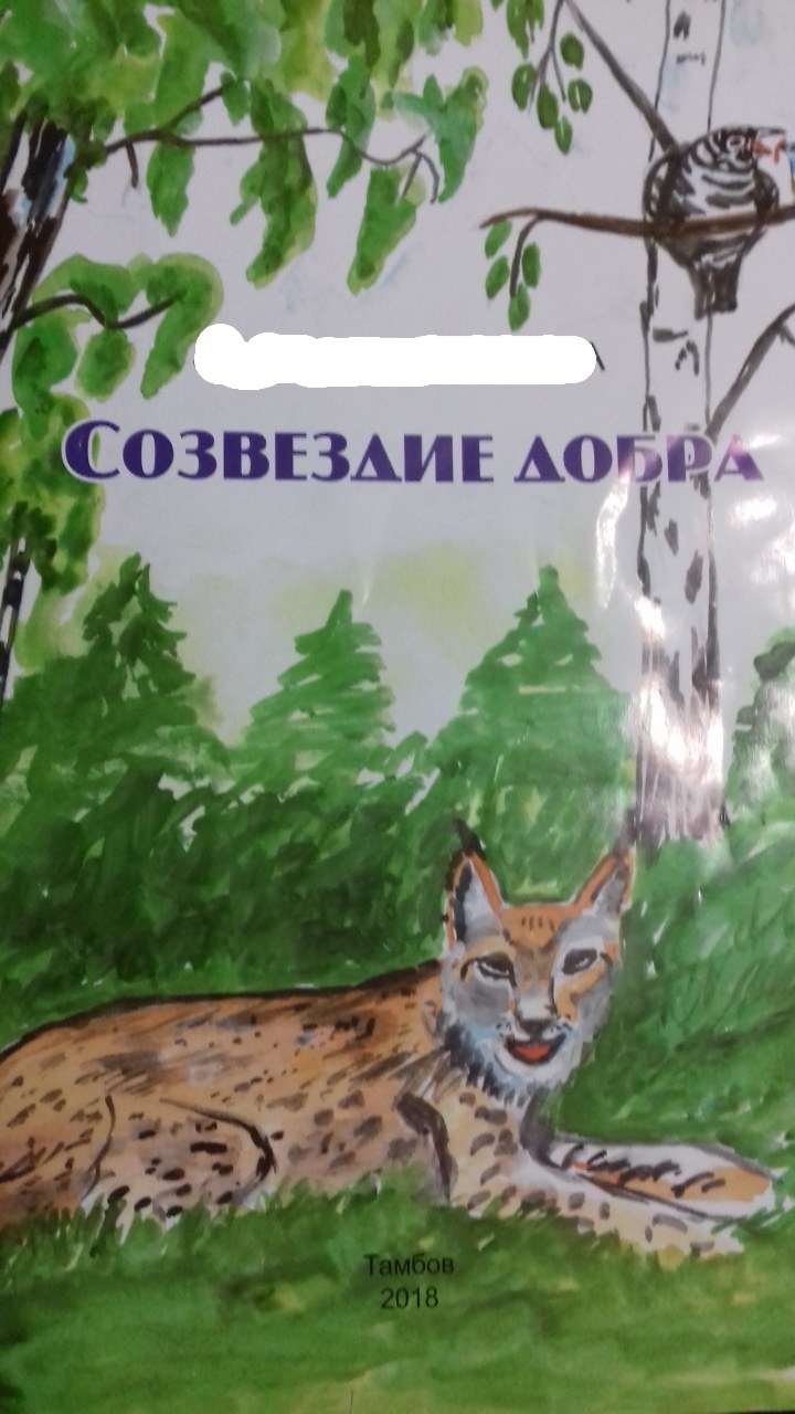 Созвездие добра | Пикабу