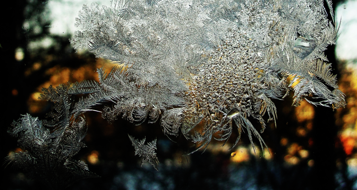 Drawings by an invisible artist - My, Russia, Omsk, Winter, freezing, 2018, The photo, Patterns on the window, Longpost