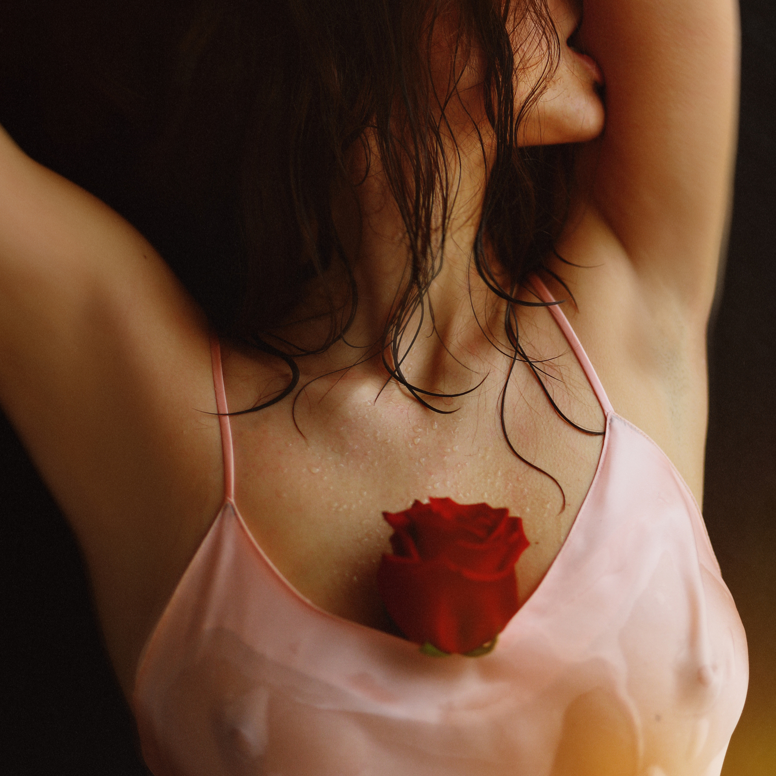 the Rose - NSFW, Erotic, Girls, Breast, Longpost