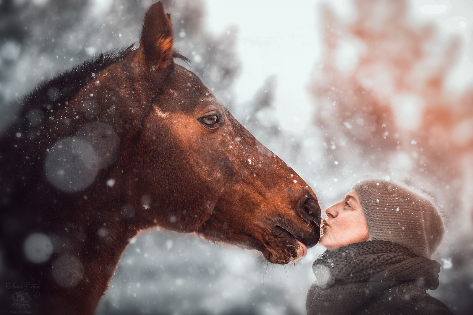 Horse and his mistress. - My, Photographer, Beginning photographer, Horses, Longpost, The photo