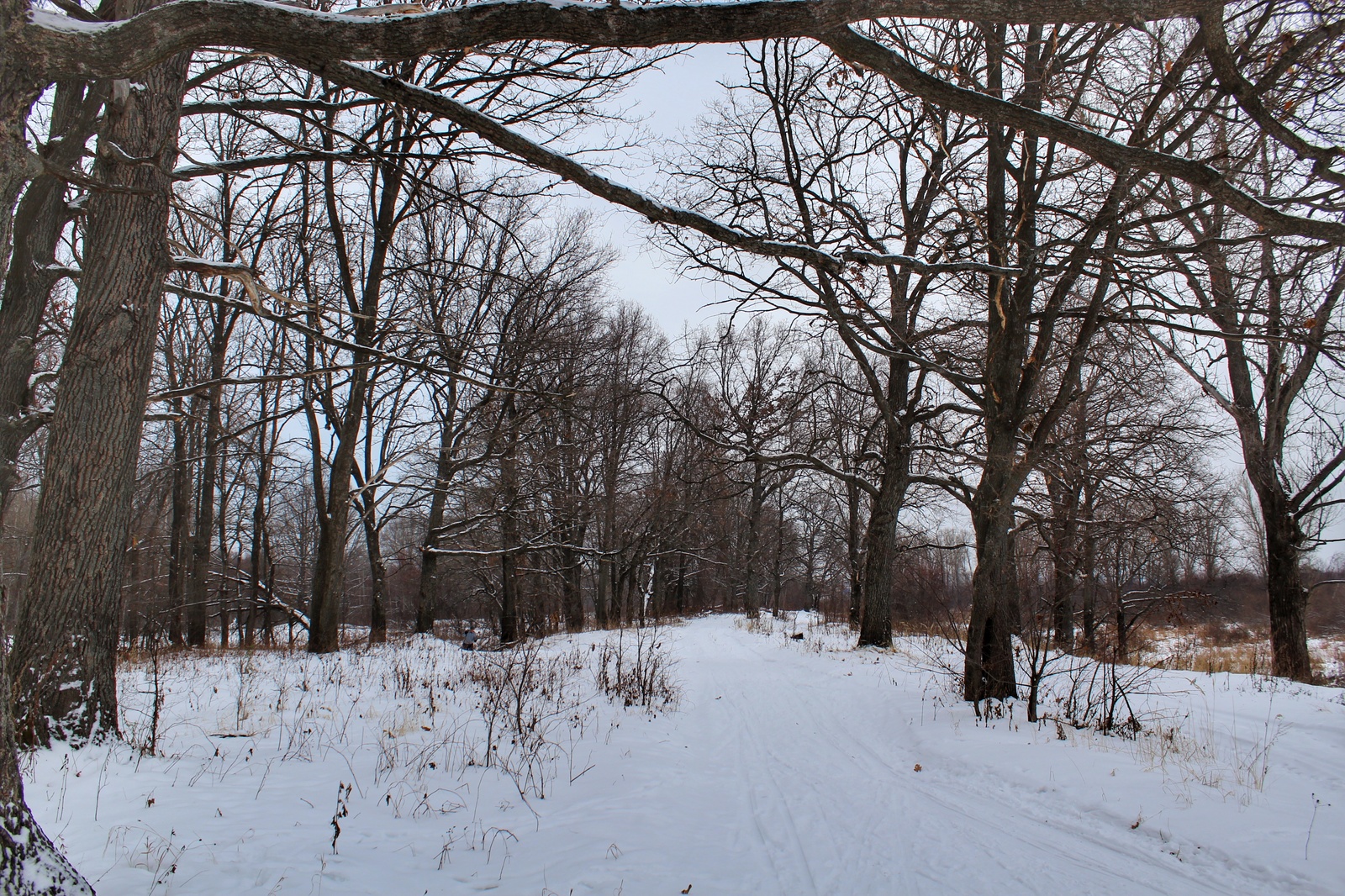 Photo walk - My, Dzerzhinsk, The photo, Canon 1300d, 18-55 kit, Nature, Longpost