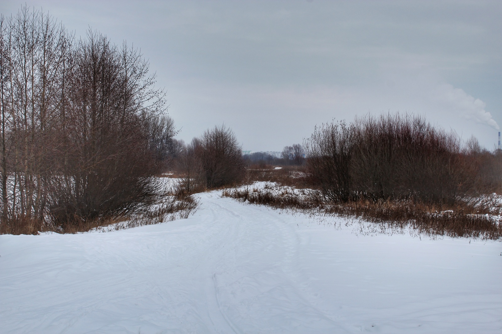 Photo walk - My, Dzerzhinsk, The photo, Canon 1300d, 18-55 kit, Nature, Longpost