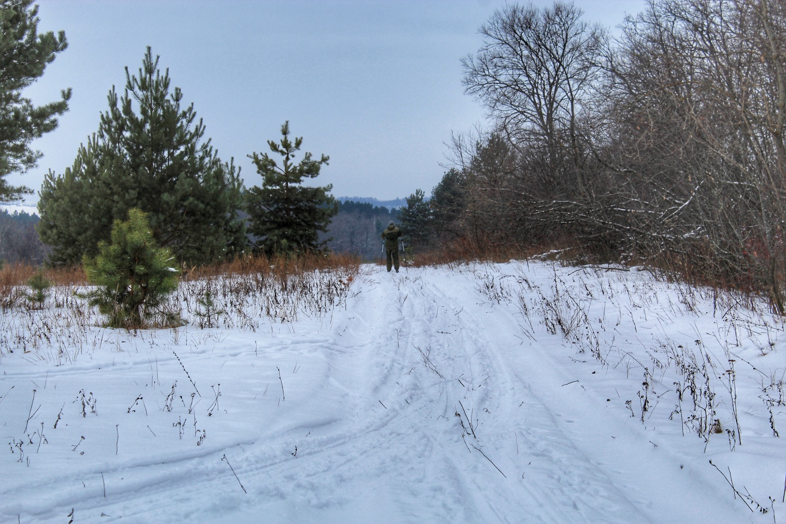 Photo walk - My, Dzerzhinsk, The photo, Canon 1300d, 18-55 kit, Nature, Longpost