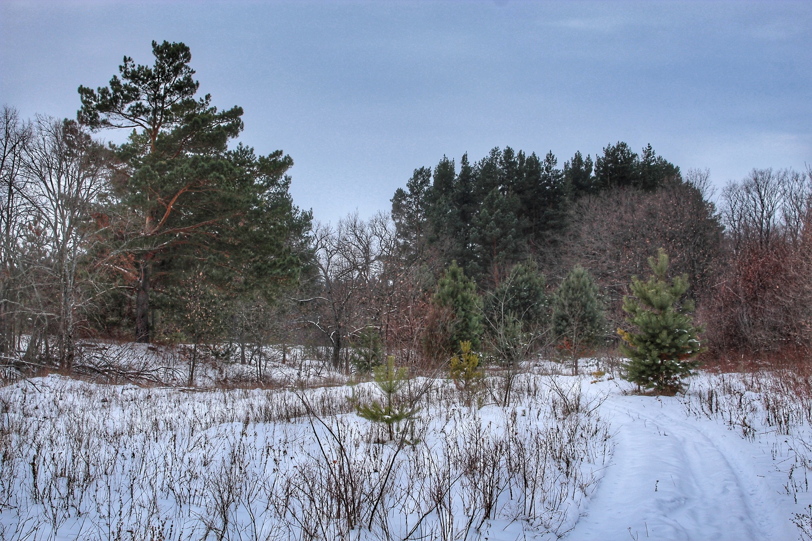 Photo walk - My, Dzerzhinsk, The photo, Canon 1300d, 18-55 kit, Nature, Longpost