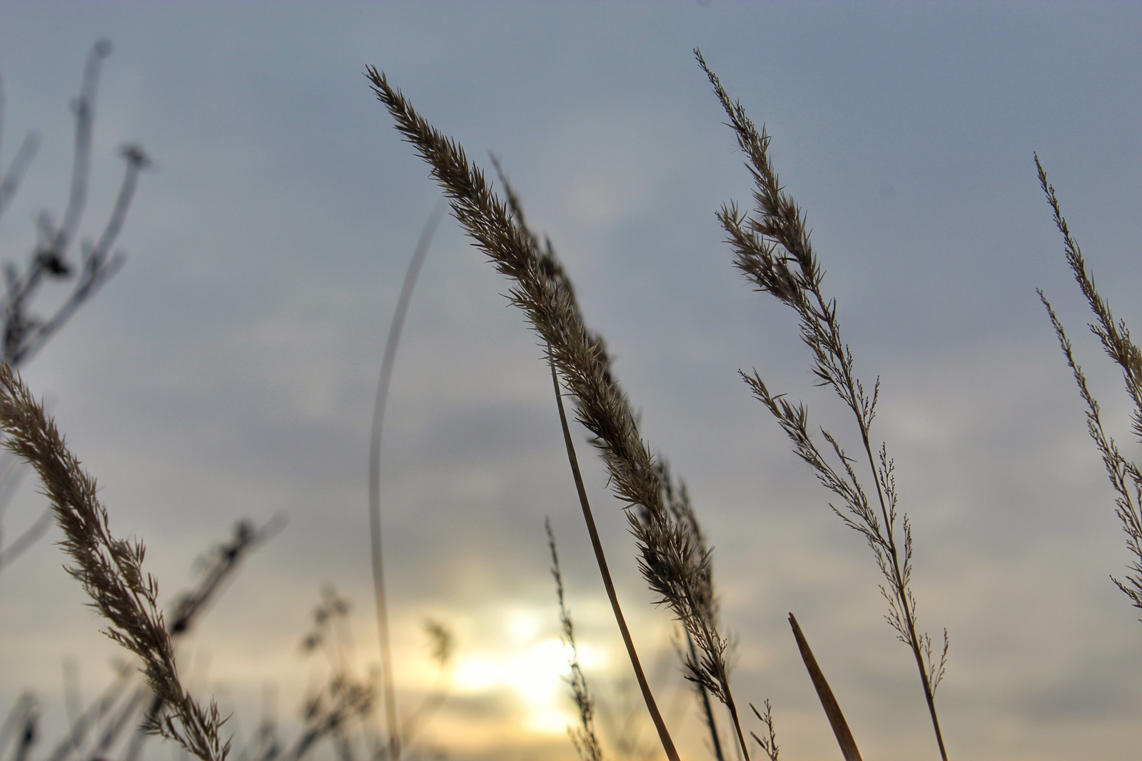 Photo walk - My, Dzerzhinsk, The photo, Canon 1300d, 18-55 kit, Nature, Longpost