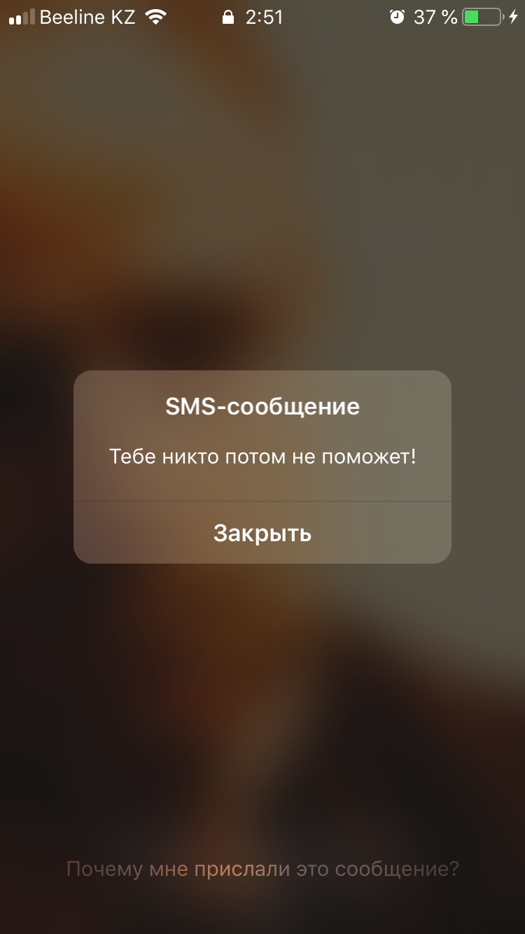 Входящие flash sms сообщения | Пикабу