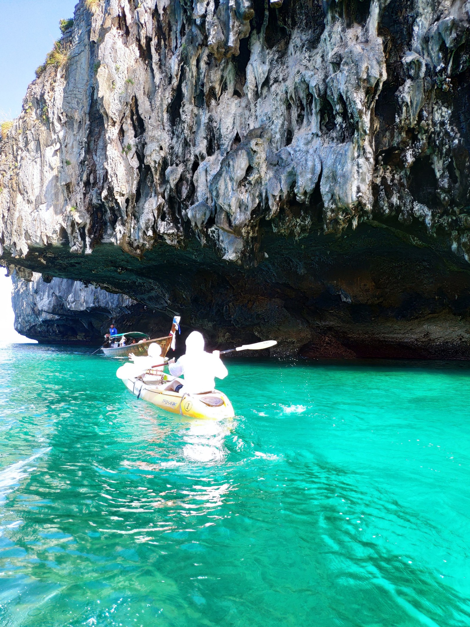 Phi Phi Islands, Thailand - My, Koh Phi Phi, Travelers, Travels, Underwater world, Video, Longpost