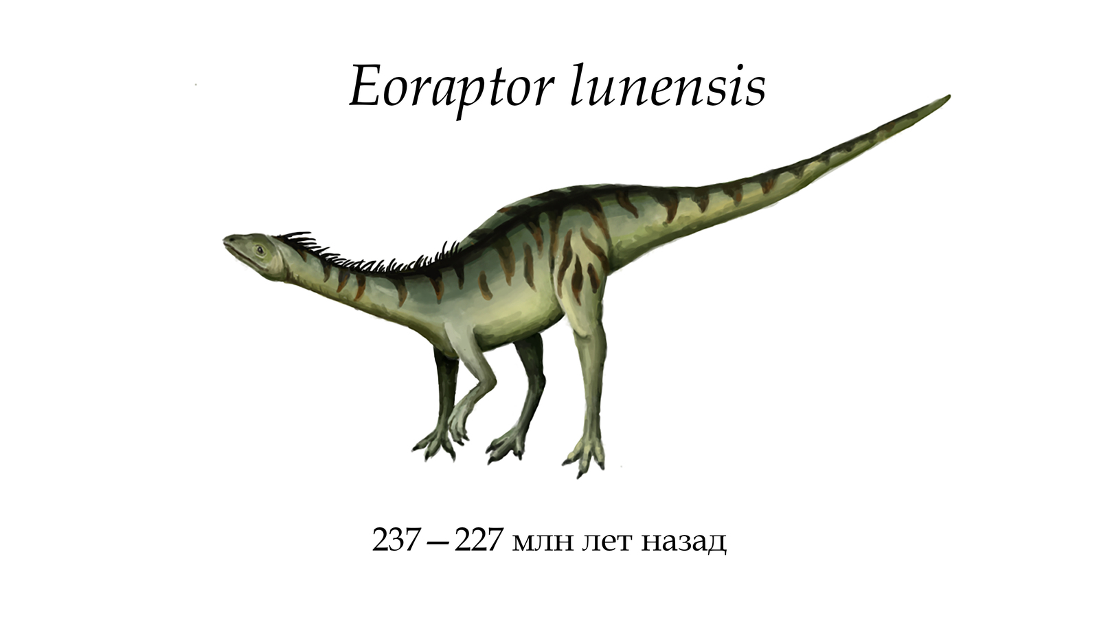 Dinosaurs (illustration). - My, Paleontology, Dinosaurs, Yaroslav Popov, The science, Noosphere Studio, Longpost