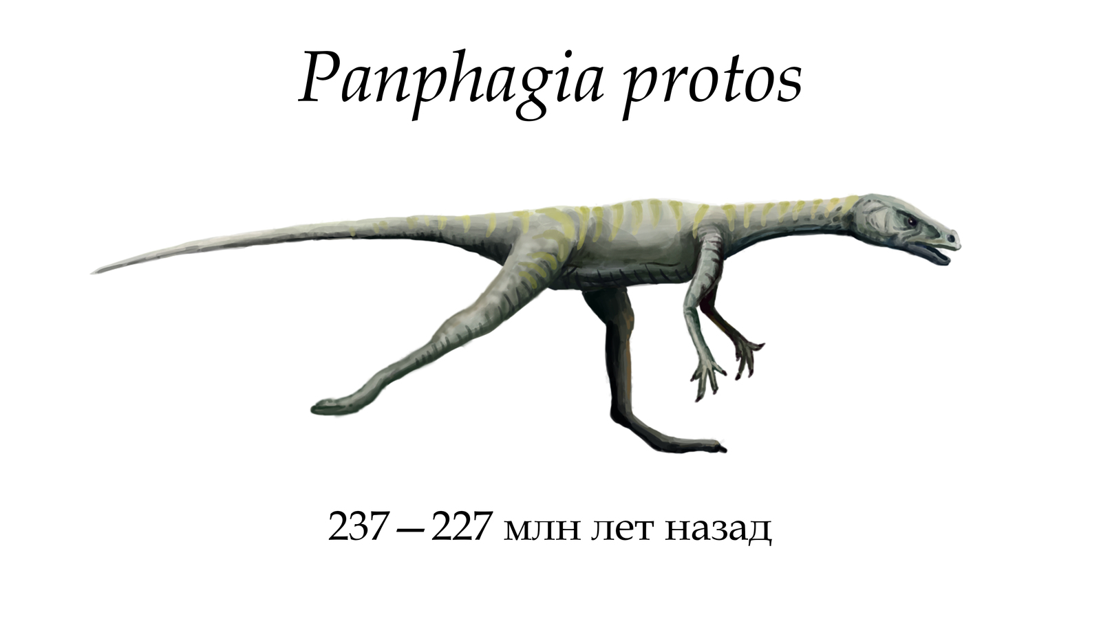 Dinosaurs (illustration). - My, Paleontology, Dinosaurs, Yaroslav Popov, The science, Noosphere Studio, Longpost