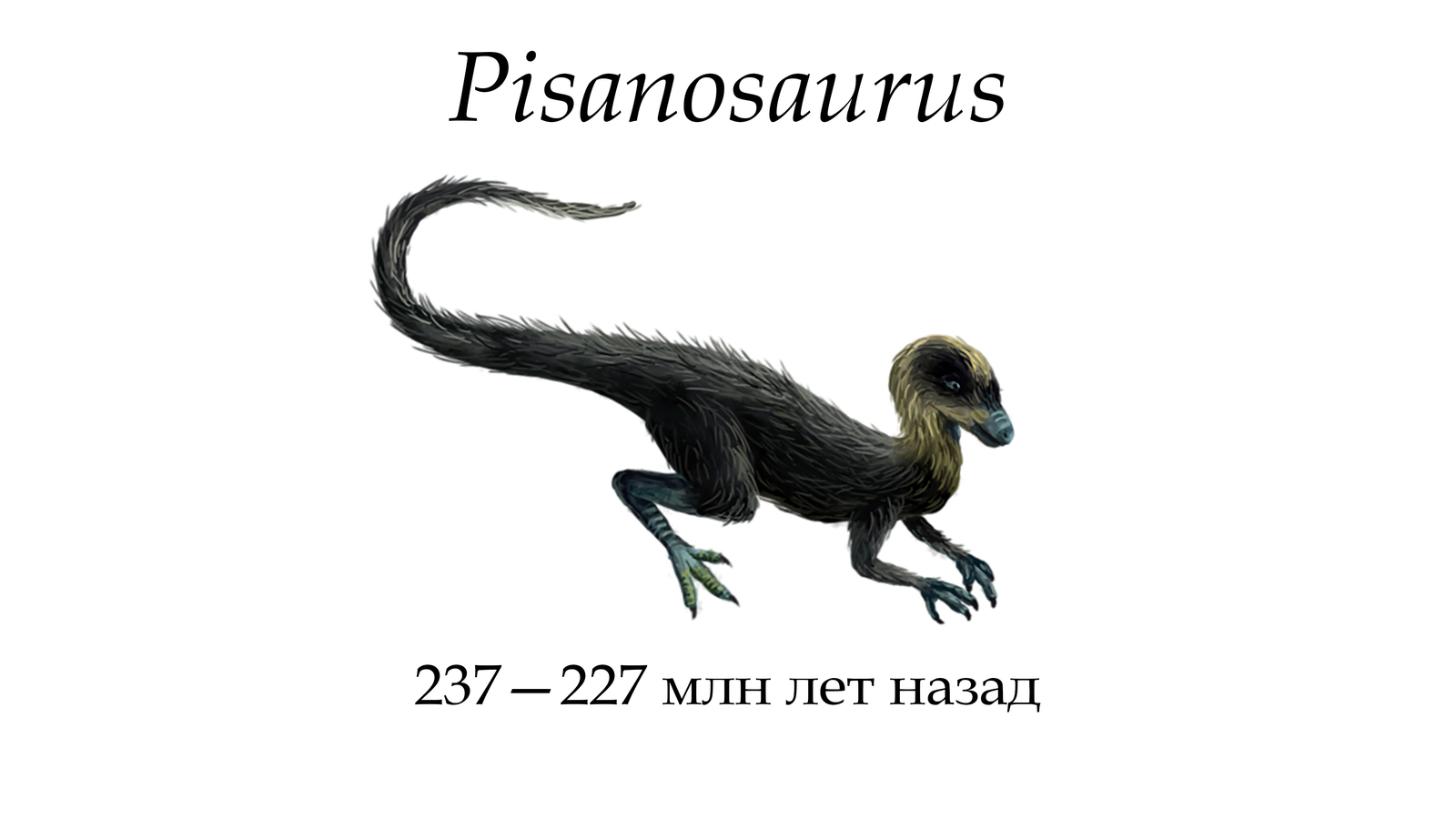 Dinosaurs (illustration). - My, Paleontology, Dinosaurs, Yaroslav Popov, The science, Noosphere Studio, Longpost