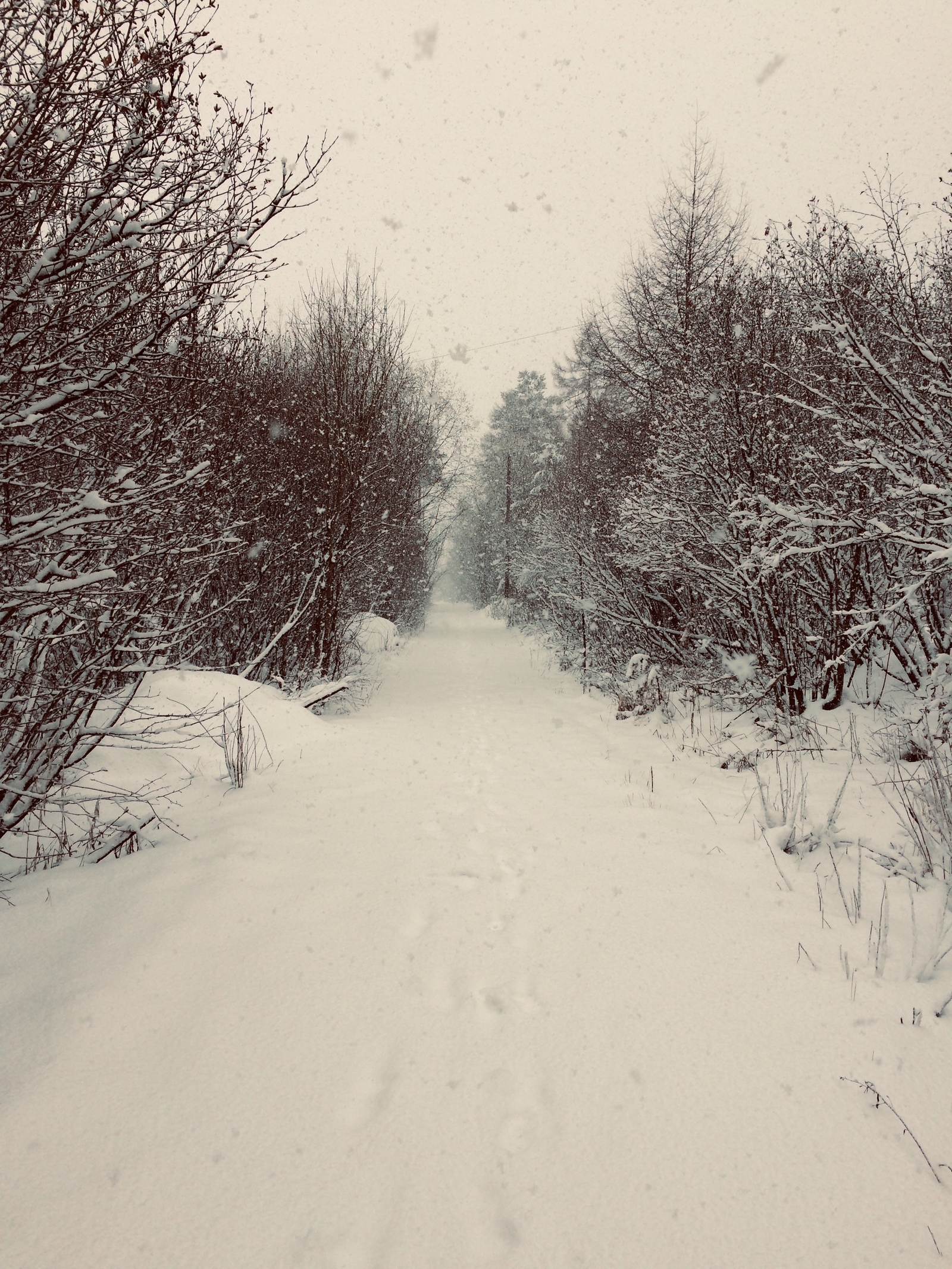 path) - My, Winter, Yakutia, Path, Beautiful, Neryungri