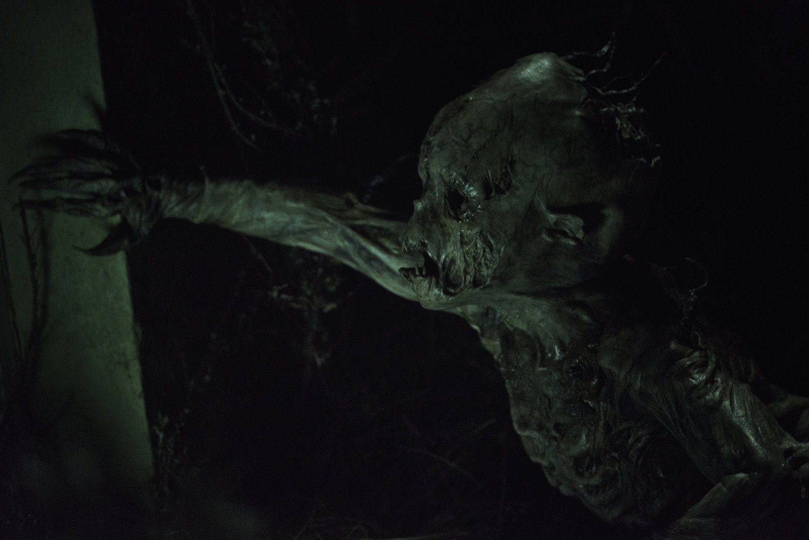 FROM THE DARKNESS\THE HALLOW [VIDEO REVIEW] - My, Movie review, Movies, Grade, Review, Filmmakers, Video, Fun
