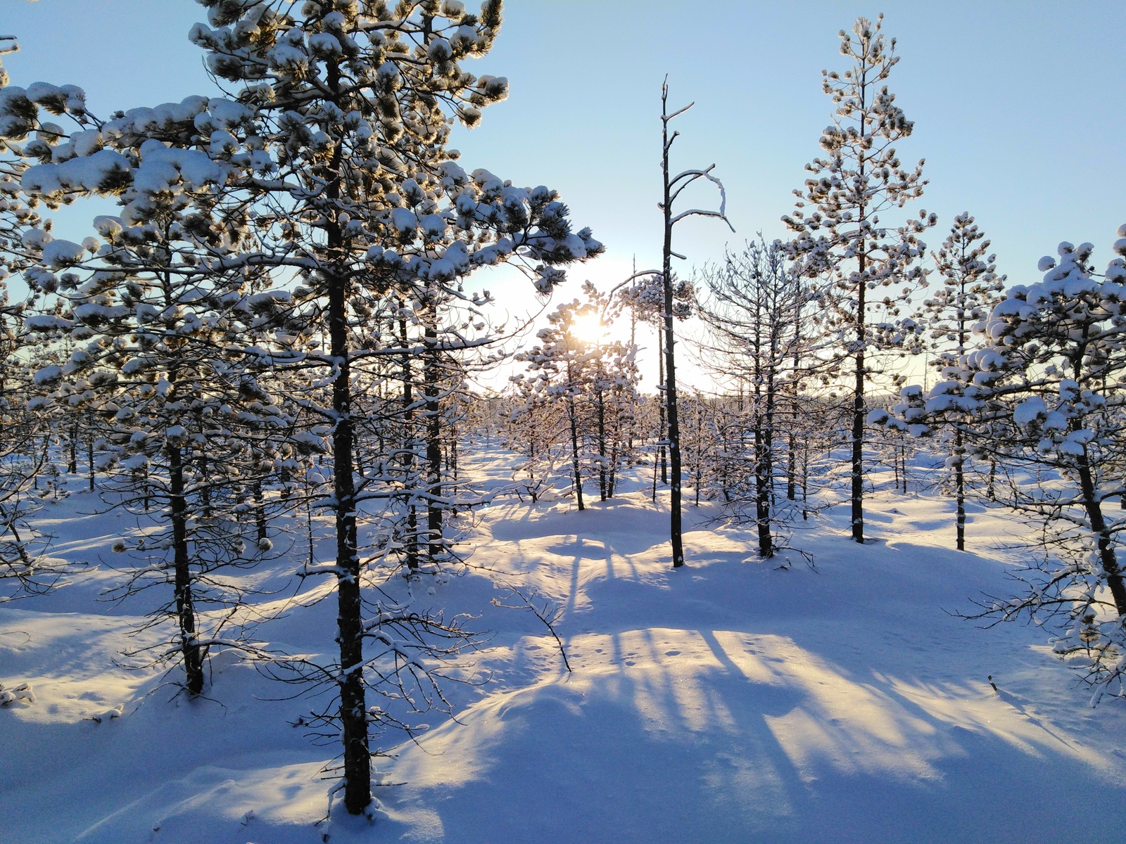 Northern beauties - My, beauty of nature, North, Beginning photographer, Longpost, The photo