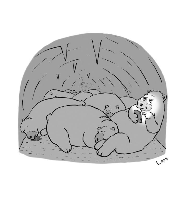 Winter.. - Images, Humor, The Bears, Hibernation, Dream, Connecting rod, Smartphone