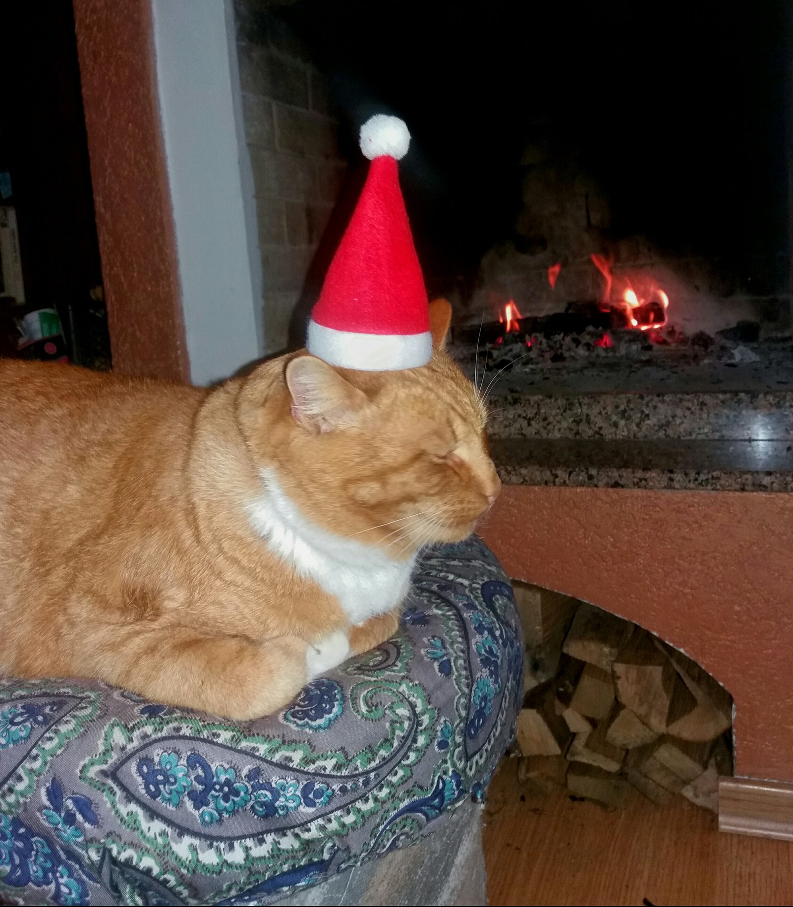 By the fireplace - My, cat, Redheads, Fireplace, Catomafia