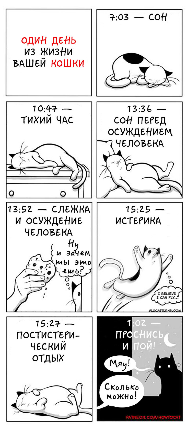 Kotobudni - cat, Howtocat, Comics, Longpost, Lucas Turnbloom