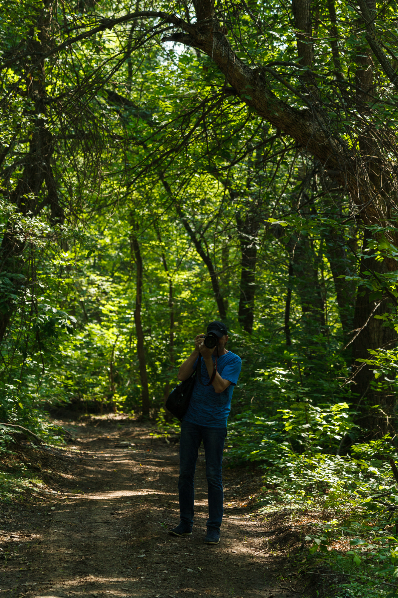 Forest beyond the Volga on the gap. - My, Proran, Zavolga, Samara, Summer, Positive