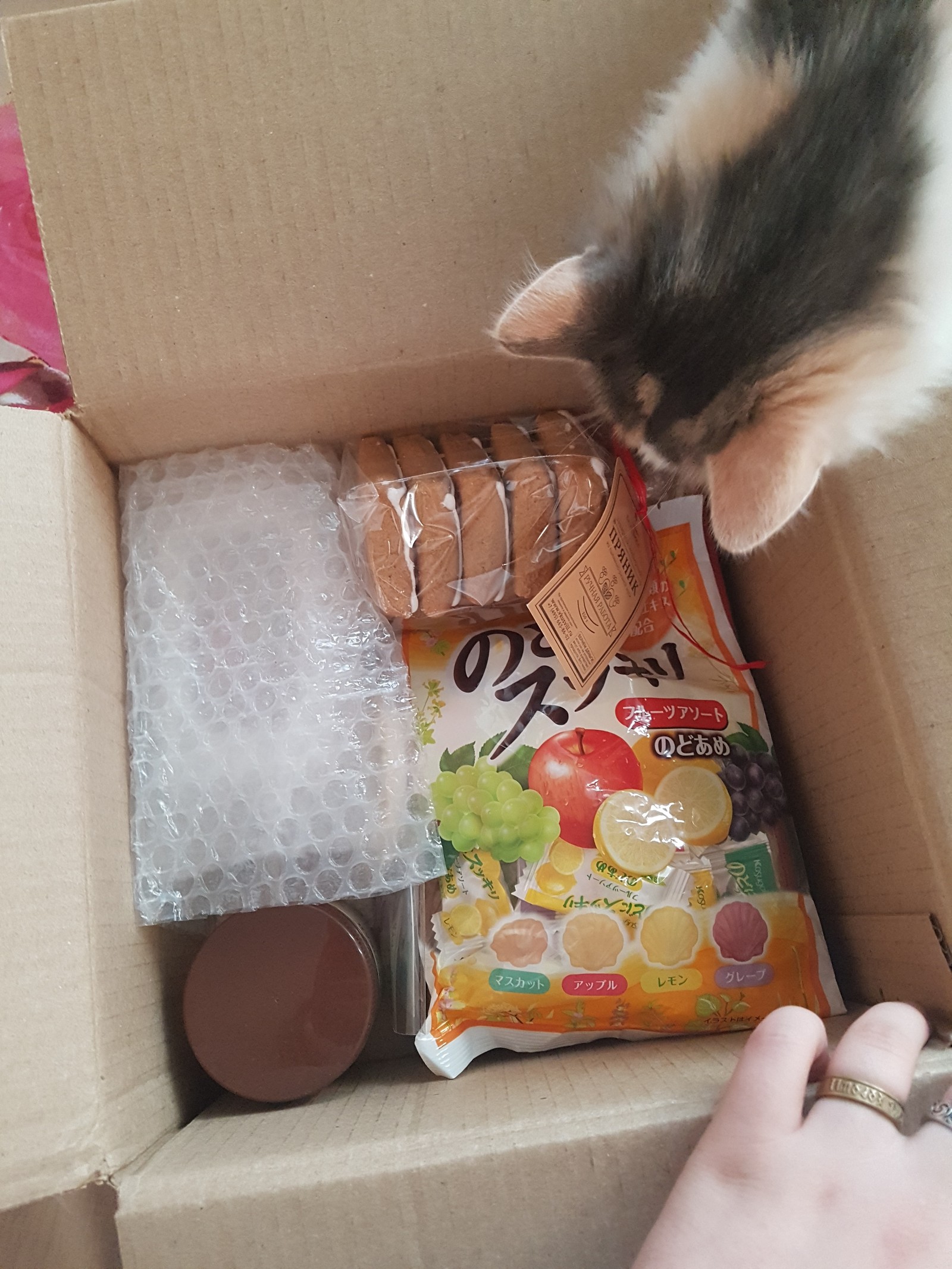 Gift from Moscow - My, Gift exchange, New Year, Tricolor cat, Presents, Longpost, Gift exchange report, Secret Santa