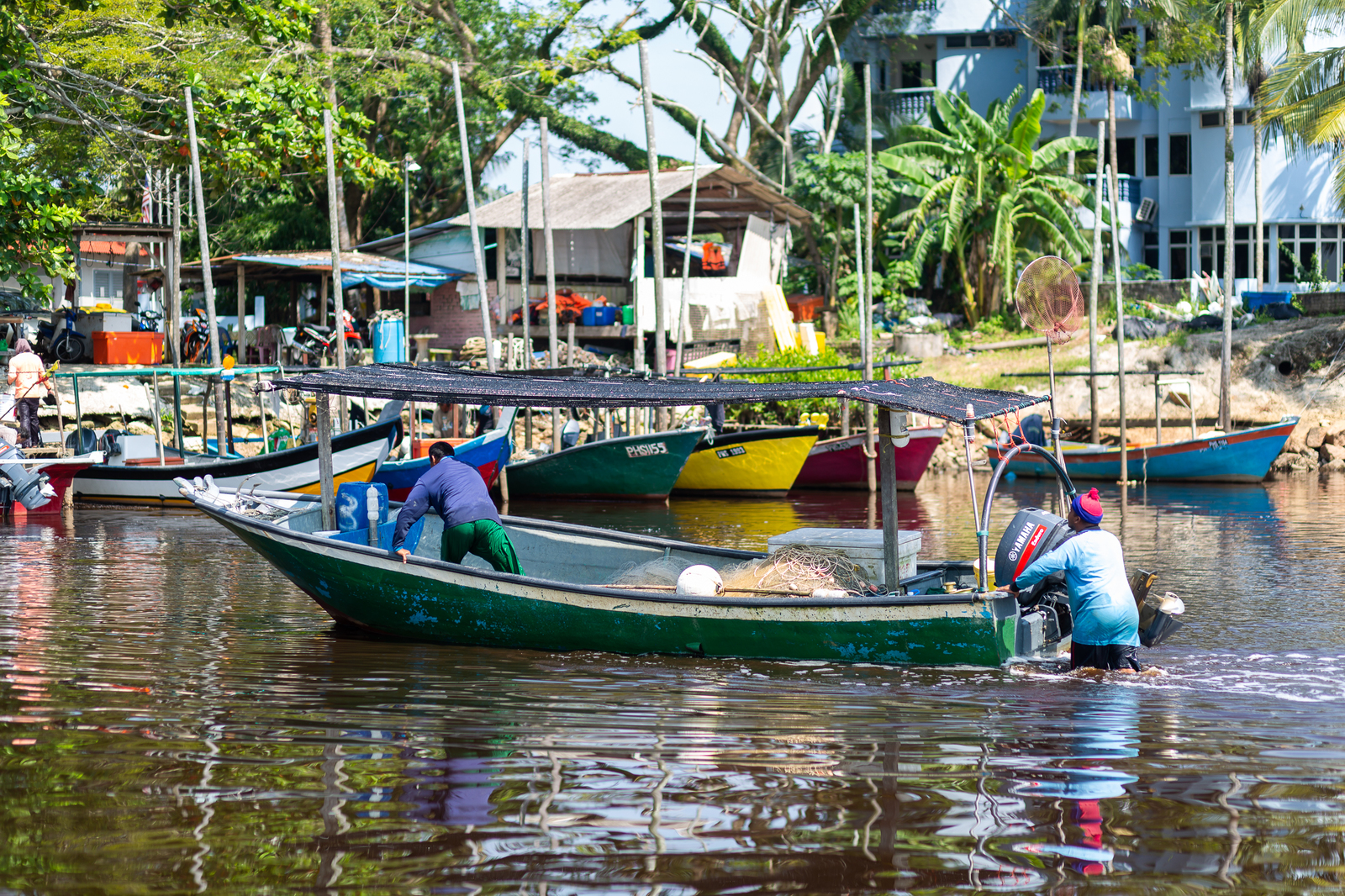 No return ticket needed. 5. Singai Ular - My, Travels, Malaysia, Fishing, Ocean, Horseshoe Crab, Stingray, Video, Longpost