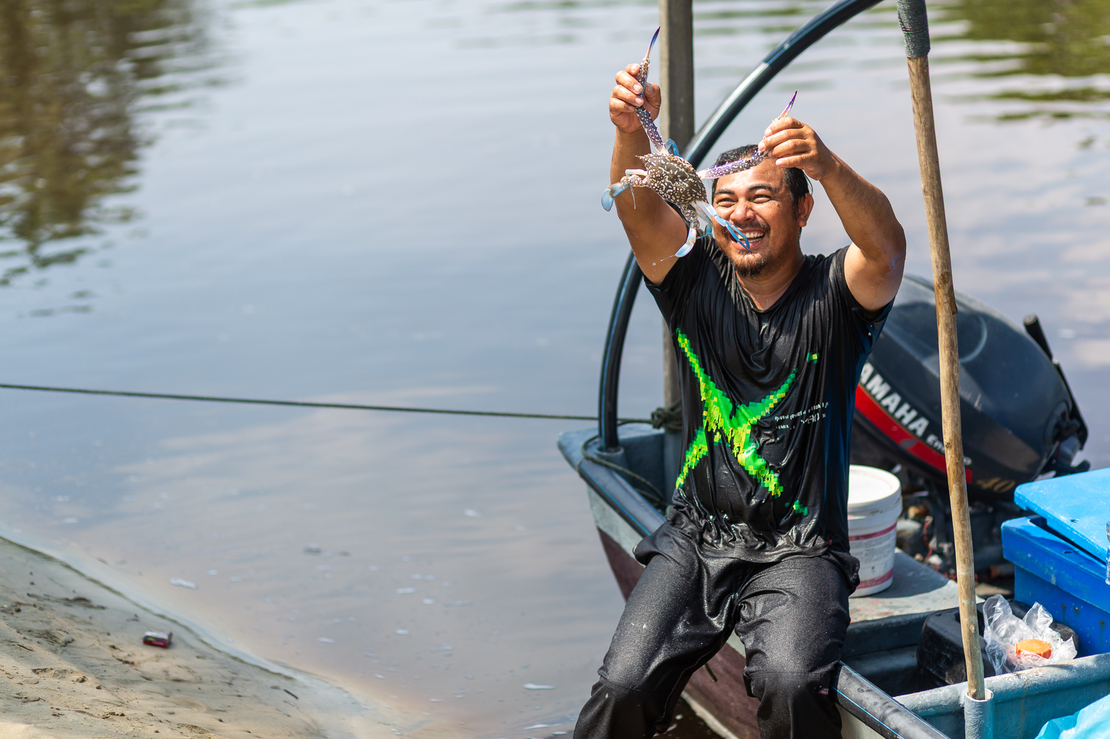 No return ticket needed. 5. Singai Ular - My, Travels, Malaysia, Fishing, Ocean, Horseshoe Crab, Stingray, Video, Longpost