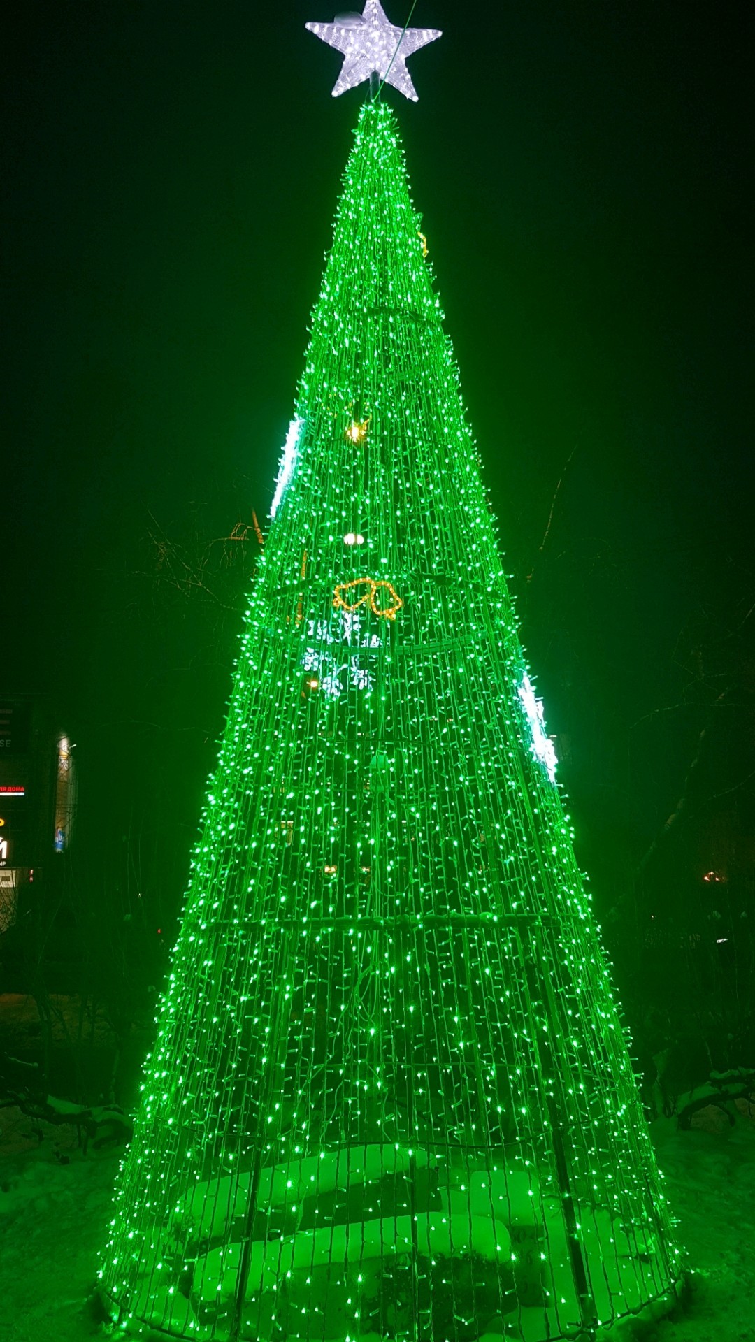 #New Year creeps up... - My, Christmas trees, Murmansk, New Year, Longpost