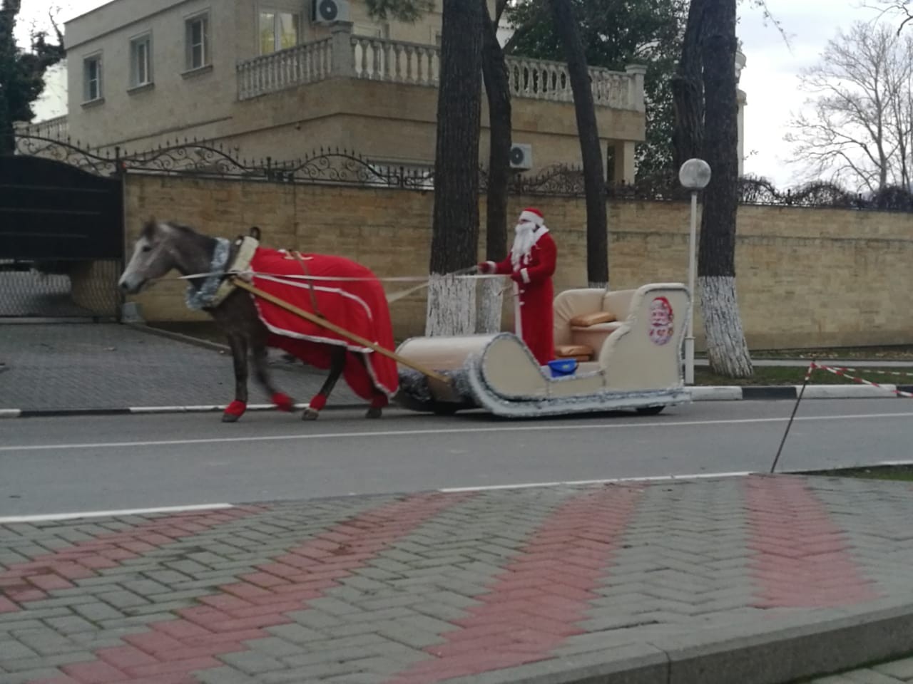 Grandfather Frost is already in Gelendzhik) - My, Father Frost, Sled, Gelendzhik