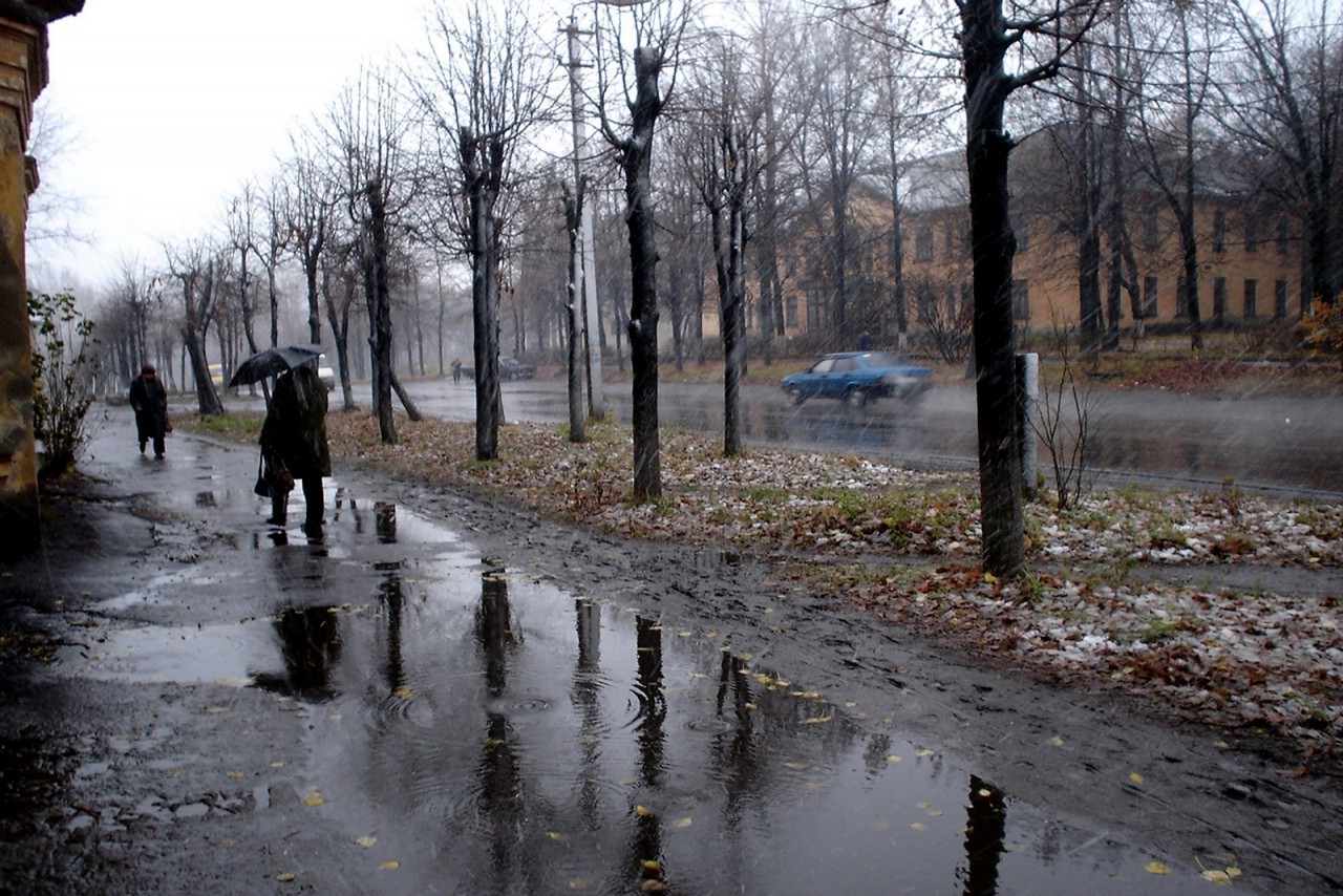 А нам дождь не помеха. - Моё, Обмен подарками, Тайный Санта, Отчет по обмену подарками, Кот, Длиннопост