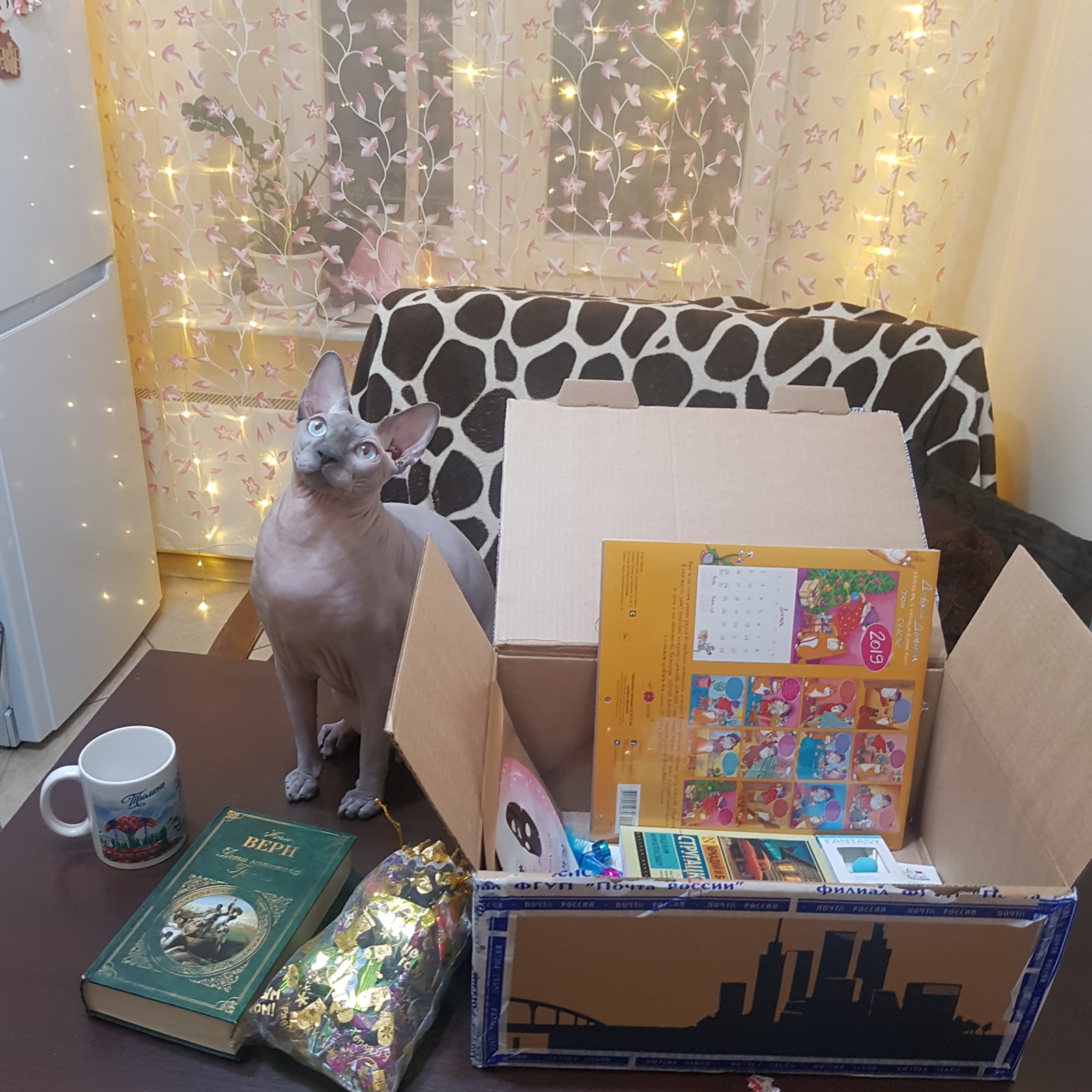 A gift from Tyumen to Moscow! Waited! - My, Gift exchange report, Gift exchange, Longpost, cat, Secret Santa