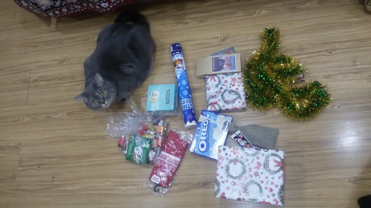 Mini report on my package for the new year! - My, Gift exchange report, cat, New Year's gift exchange, Longpost, Secret Santa